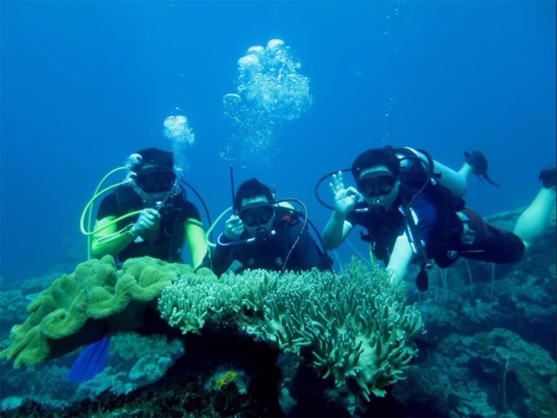 Pulau Tidung: Wajib diketahui Kenapa Musti Liburan ke Pulau ini? 1 Snorkeling dan Diving Pulau Tidung
