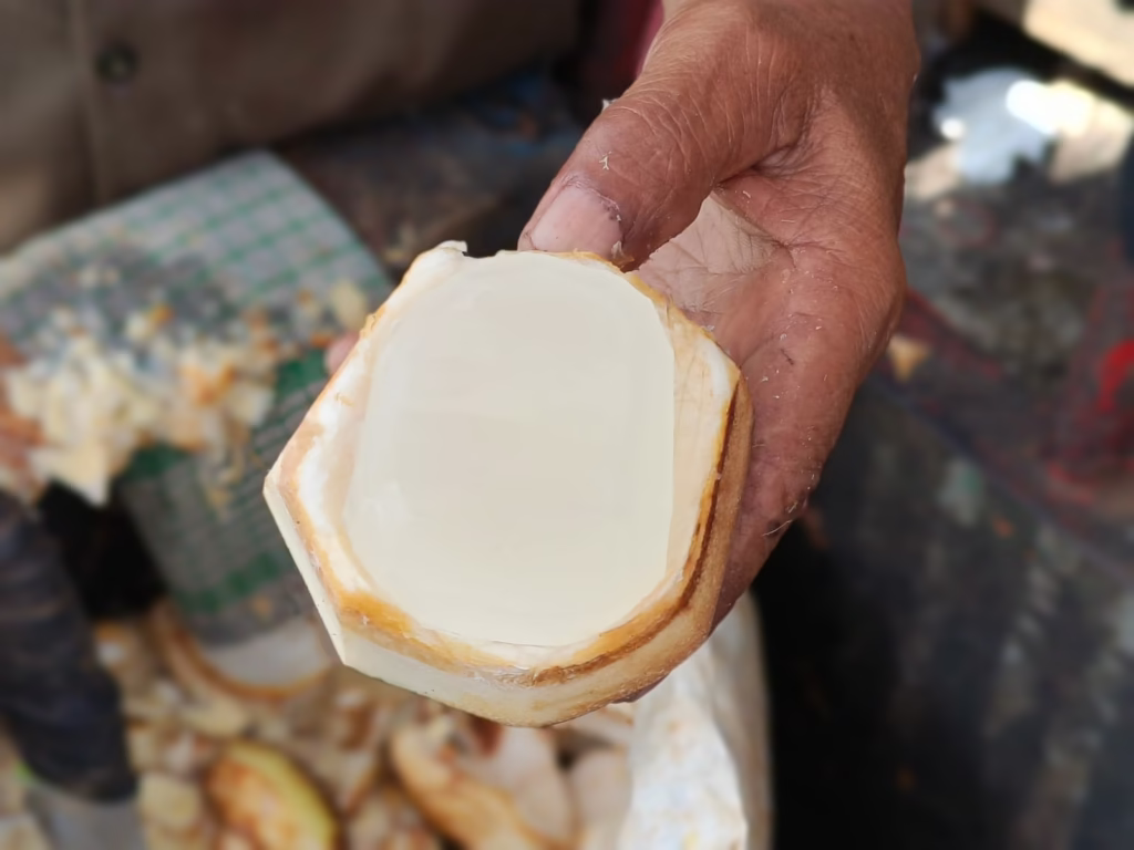 Buah Lontar Rasanya Bengini di Kawasan Glodok, Perlu di Coba!! 2 WhatsApp Image 2026 05 03 at 15.12.15