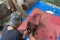 Specialist Service Koper di Jl Surabaya, pasar Antik, Jakpus